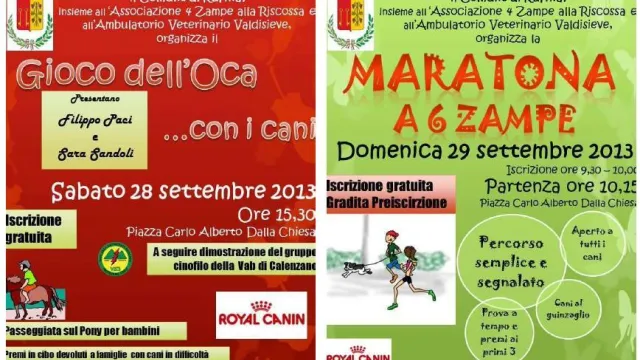 Descrizione immagine non disponibile