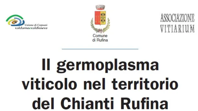 Descrizione immagine non disponibile