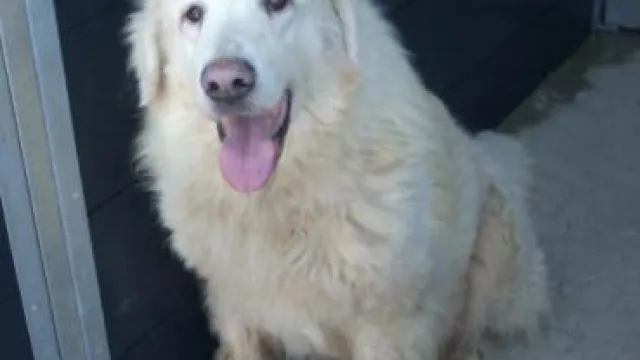 Descrizione immagine non disponibile