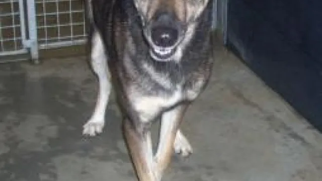 Descrizione immagine non disponibile