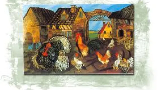 Descrizione immagine non disponibile