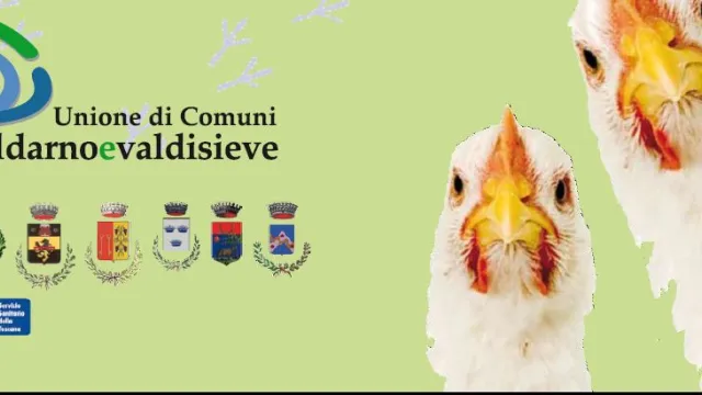 Descrizione immagine non disponibile