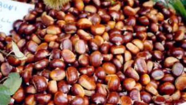 Descrizione immagine non disponibile