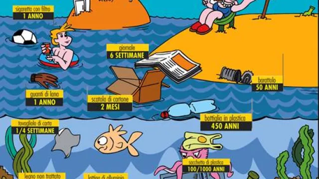 Descrizione immagine non disponibile