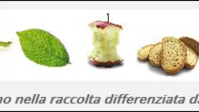 Descrizione immagine non disponibile