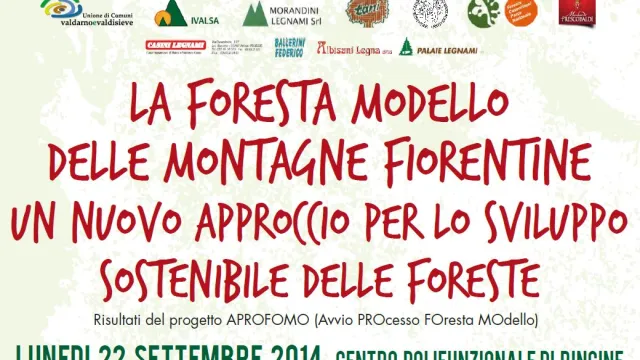 Descrizione immagine non disponibile