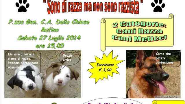 Descrizione immagine non disponibile