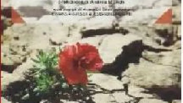 Descrizione immagine non disponibile