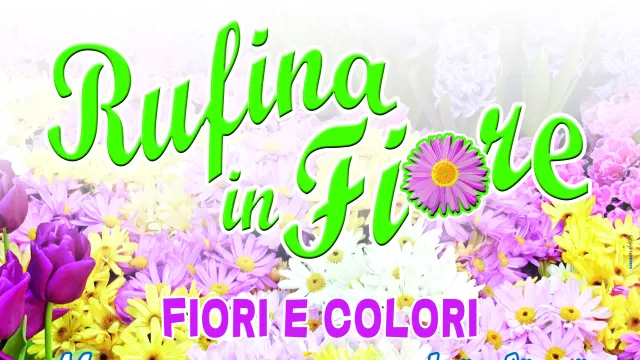 Descrizione immagine non disponibile