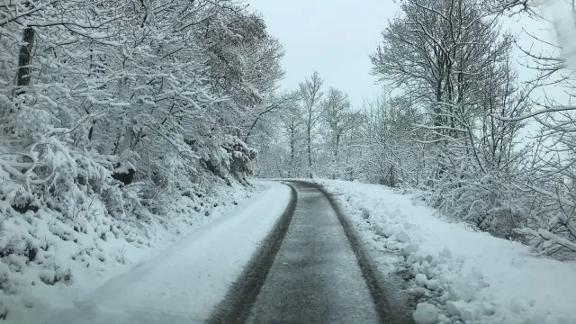 Descrizione immagine non disponibile