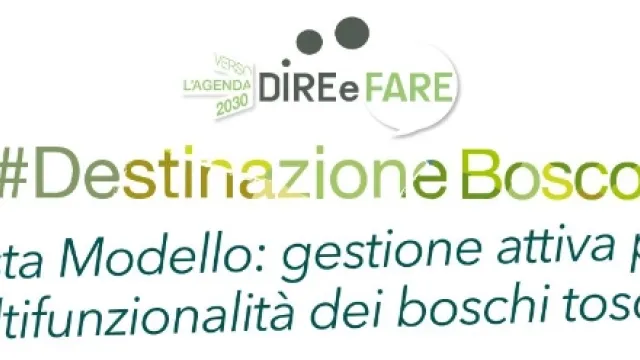 Descrizione immagine non disponibile