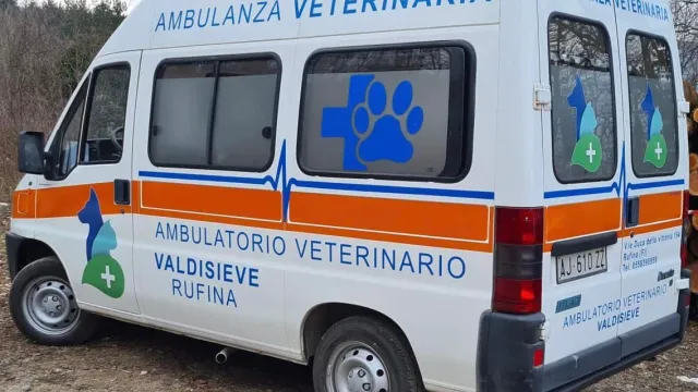 Descrizione immagine non disponibile