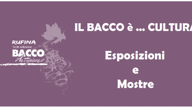 Descrizione immagine non disponibile