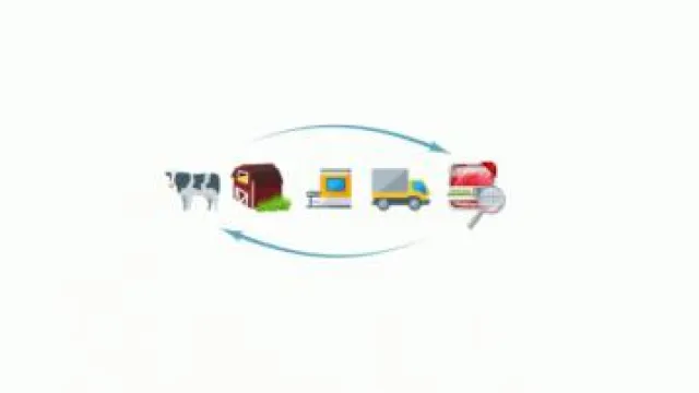 Descrizione immagine non disponibile