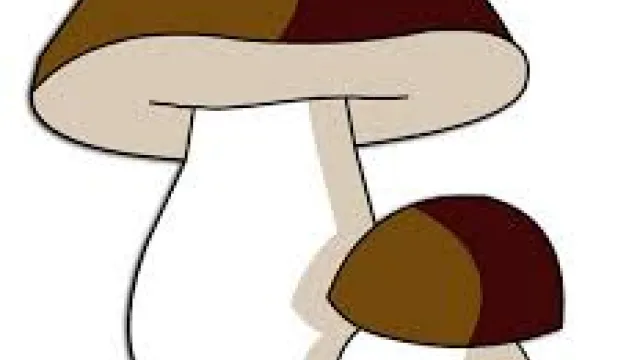 Descrizione immagine non disponibile