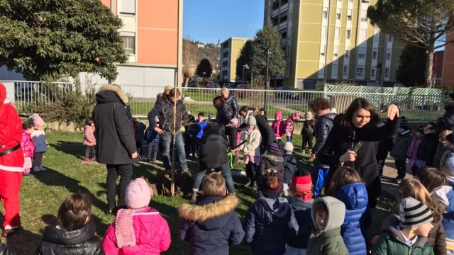 Descrizione immagine non disponibile