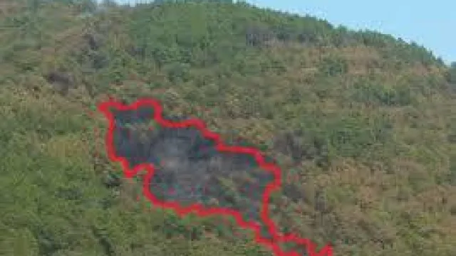 Descrizione immagine non disponibile