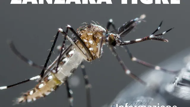 Descrizione immagine non disponibile