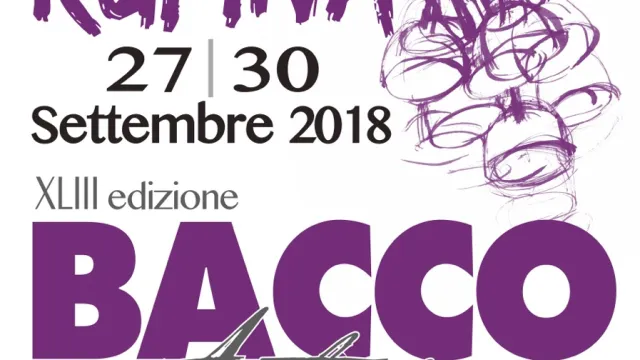 Descrizione immagine non disponibile