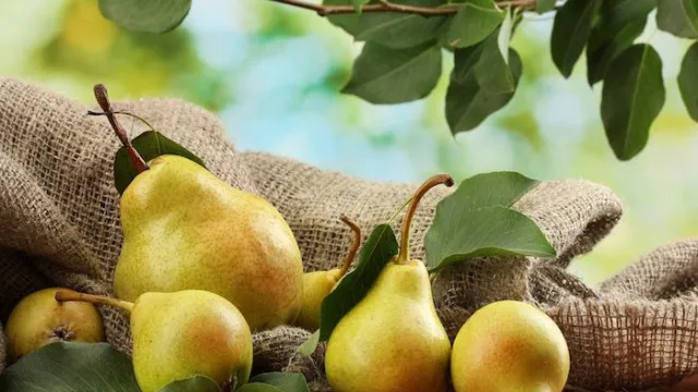 Descrizione immagine non disponibile