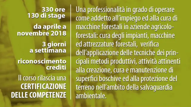 Descrizione immagine non disponibile