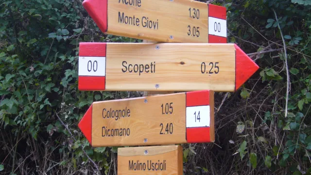 Descrizione immagine non disponibile