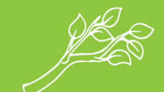 Descrizione immagine non disponibile