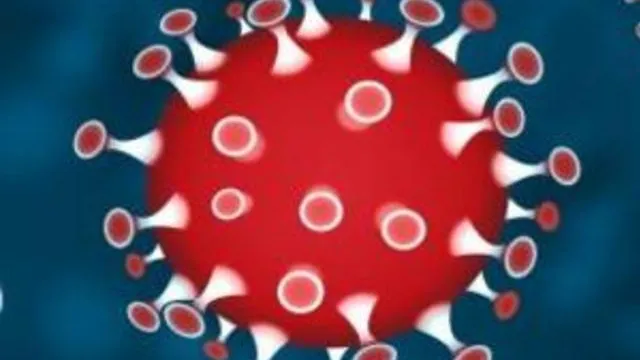 Descrizione immagine non disponibile