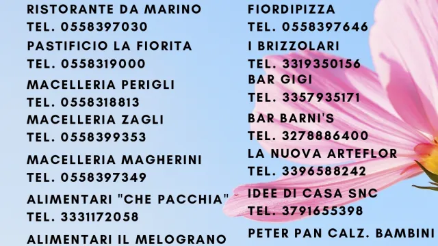 Descrizione immagine non disponibile