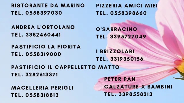 Descrizione immagine non disponibile