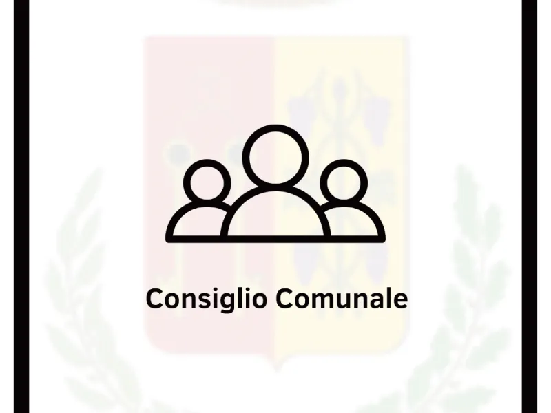 Consiglio Comunale