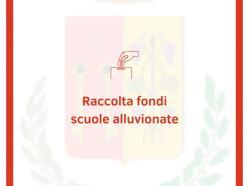 raccolta fondi alluvione